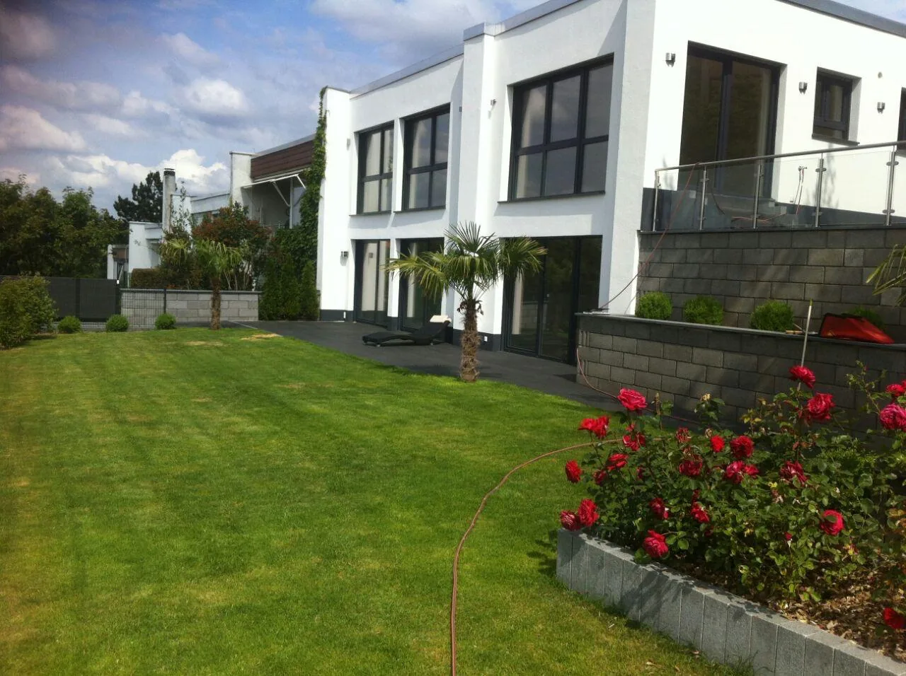 Gepflegter Garten mit Rasen und Rosen